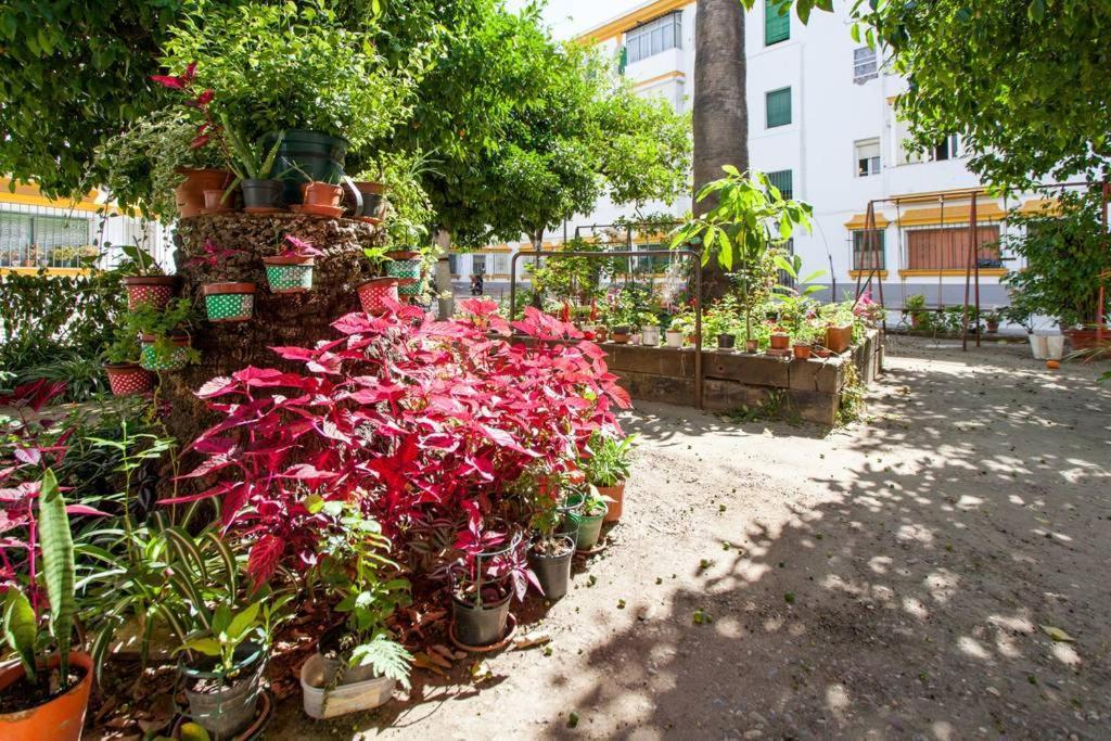 Apartamento A Los Pies Del Alcazar Севилья Экстерьер фото